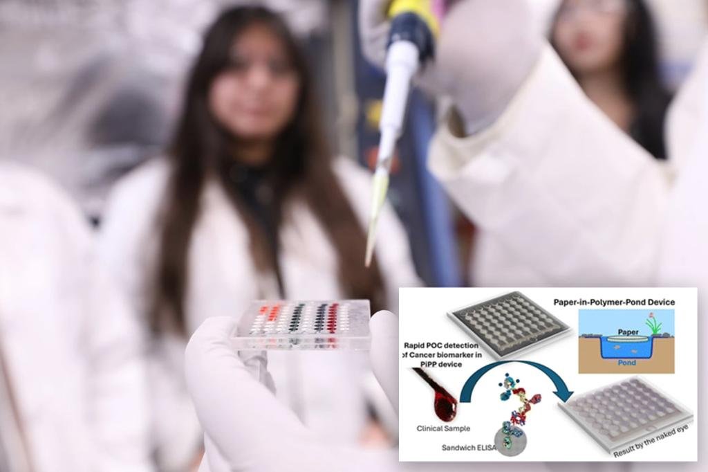 $3 ‘coffee filter’ device can detect colorectal cancer in less than an hour