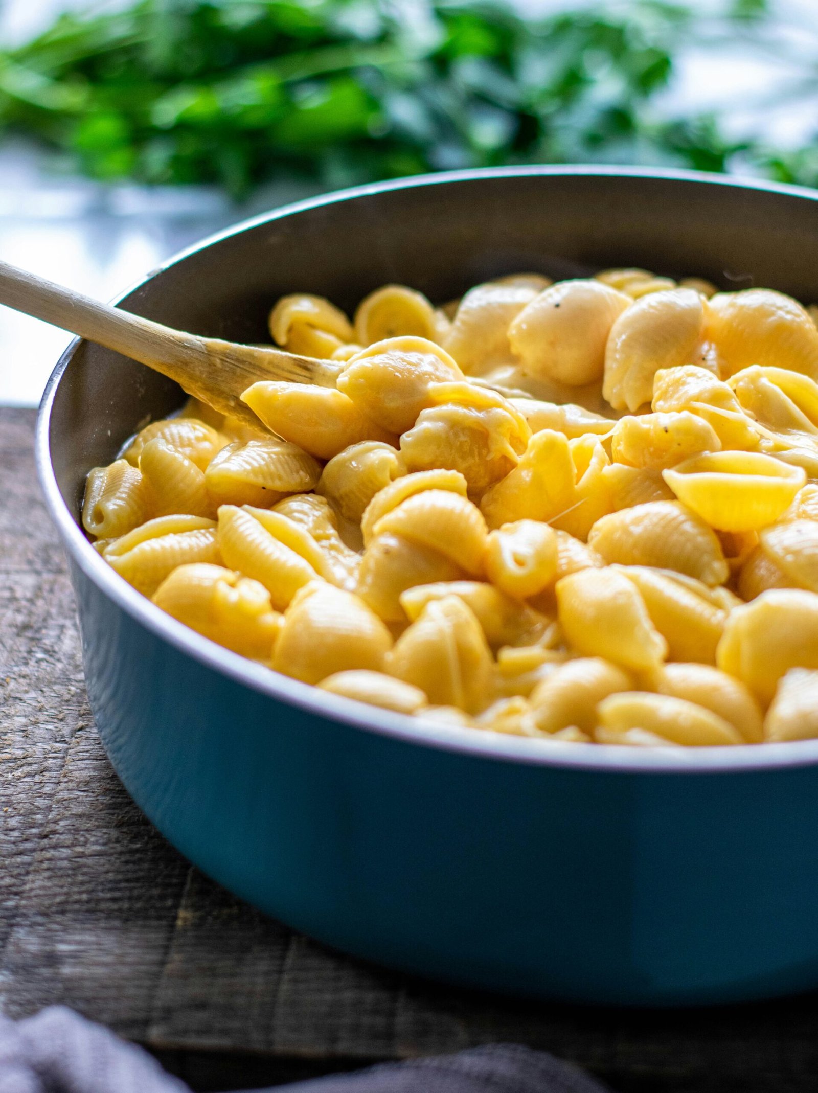a bowl of macaroni and cheese